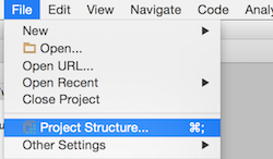 Project Structure