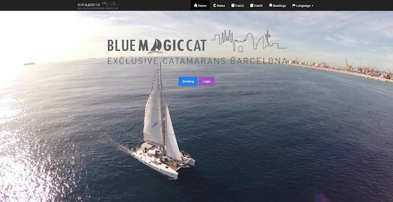 Blue Magic Cat